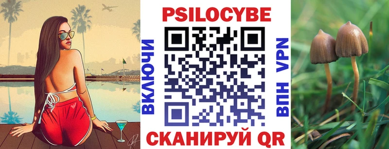 Купить закладки  Сердобск  Галлюциногенные грибы прущие грибы 